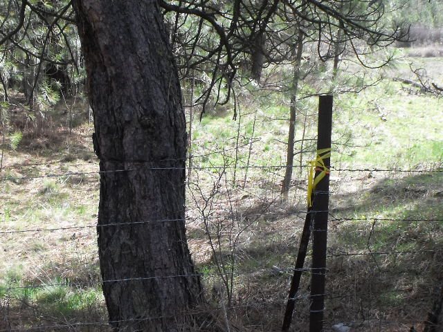 000 West Williams Lake Road Cheney, WA 99004 - Photo 14 of 16