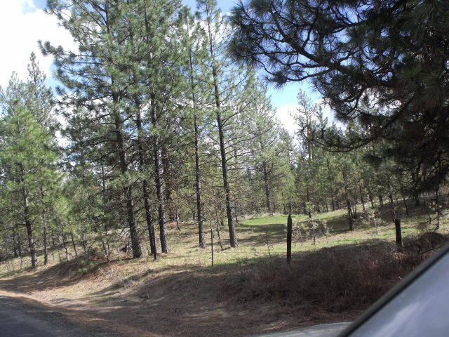 000 West Williams Lake Road Cheney, WA 99004 - Photo 3 of 16