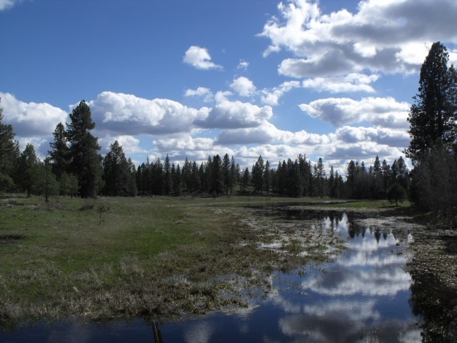 000 West Williams Lake Road Cheney, WA 99004 - Photo 4 of 16