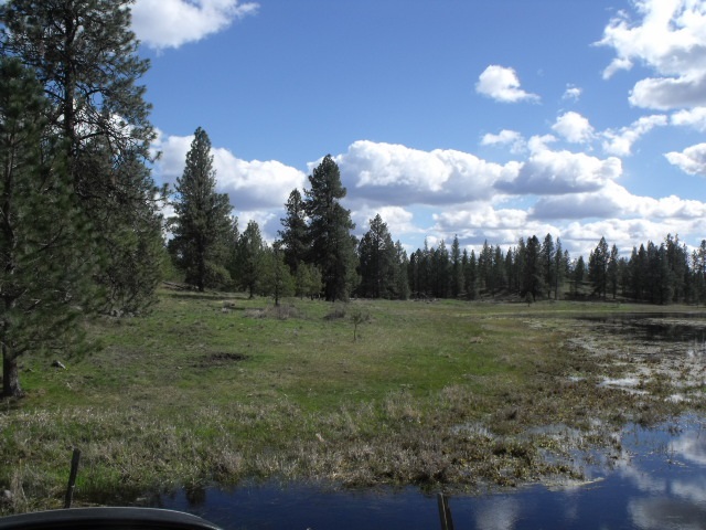 000 West Williams Lake Road Cheney, WA 99004 - Photo 5 of 16