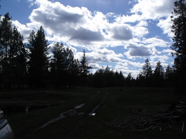 000 West Williams Lake Road Cheney, WA 99004 - Photo 7 of 16