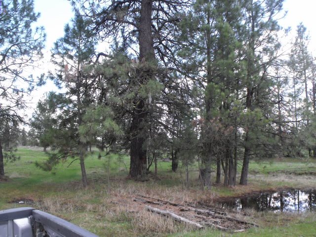000 West Williams Lake Road Cheney, WA 99004 - Photo 8 of 16