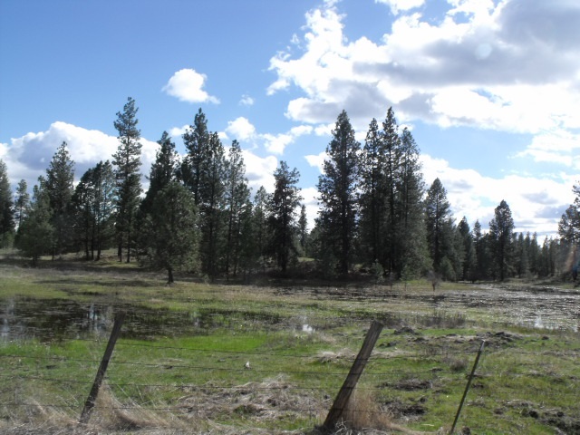 000 West Williams Lake Road Cheney, WA 99004 - Photo 9 of 16