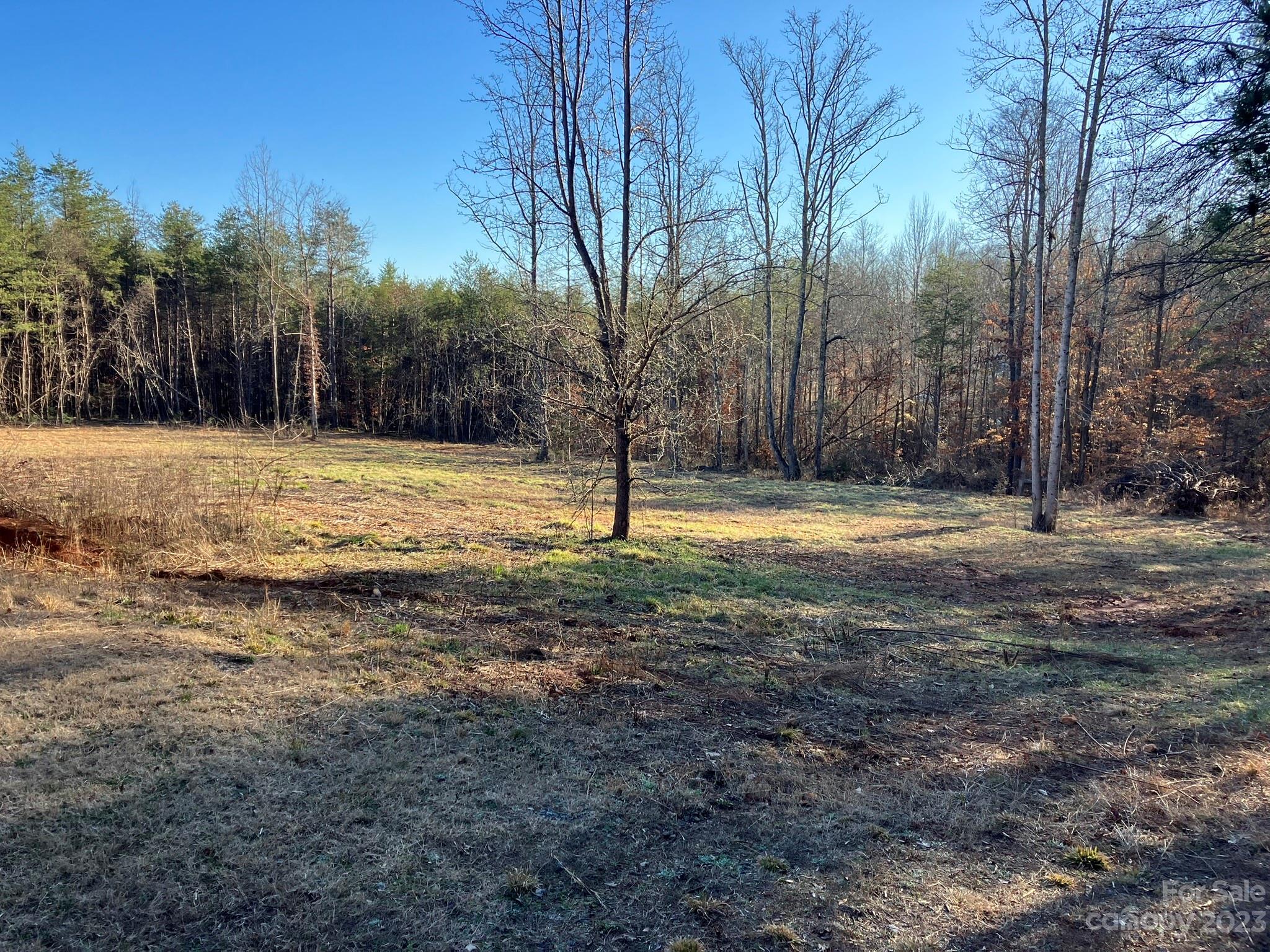 248 Old Ross Road, Unit 2 Spindale, NC 28160 - Photo 12 of 16 a view of a tree with a yard