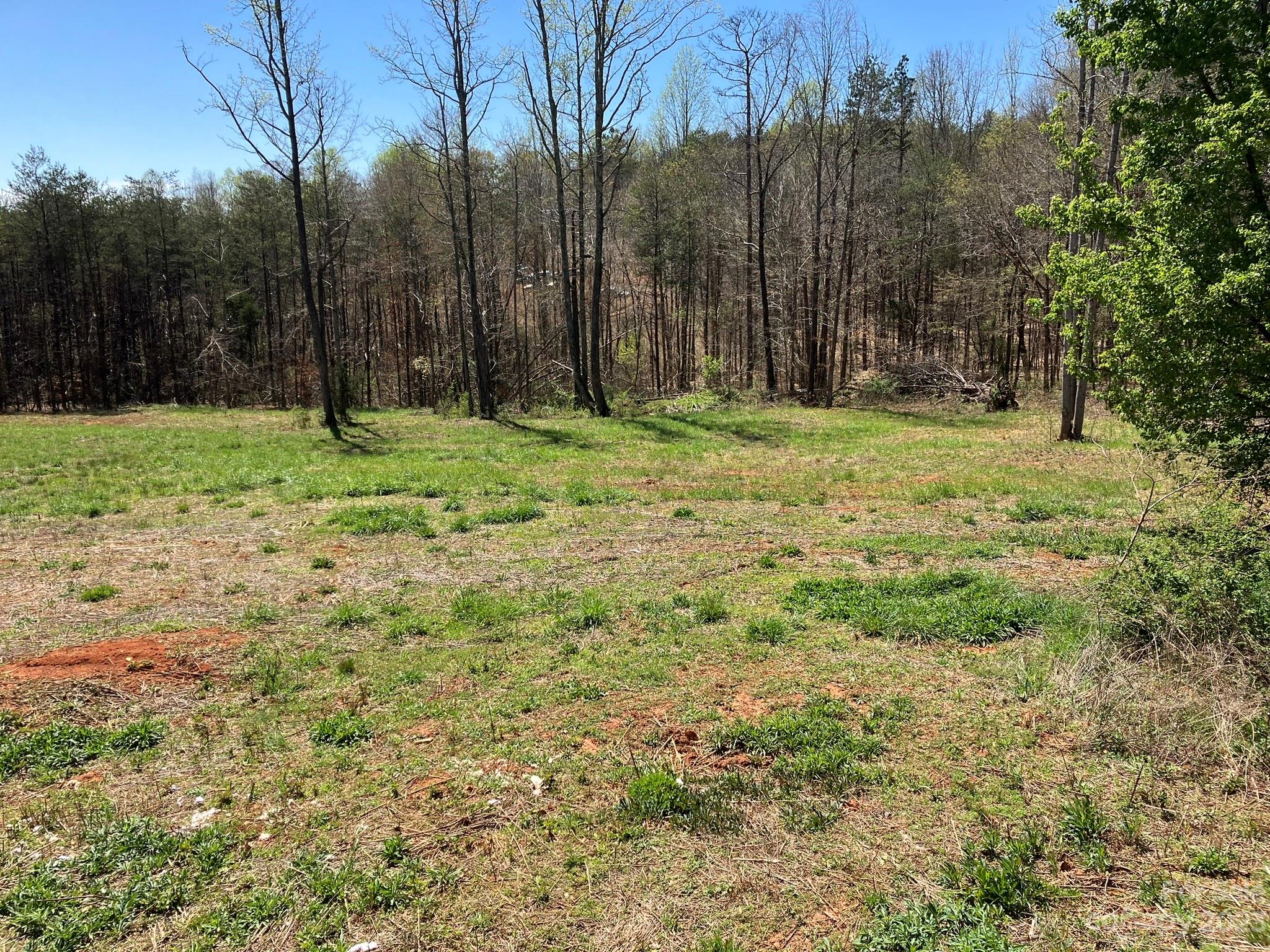 248 Old Ross Road, Unit 2 Spindale, NC 28160 - Photo 15 of 16 a view of outdoor space with trees
