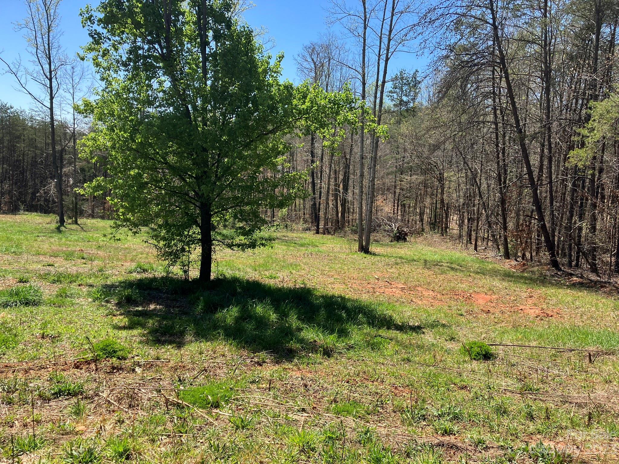 248 Old Ross Road, Unit 2 Spindale, NC 28160 - Photo 16 of 16 a large tree in a yard with lots of green space
