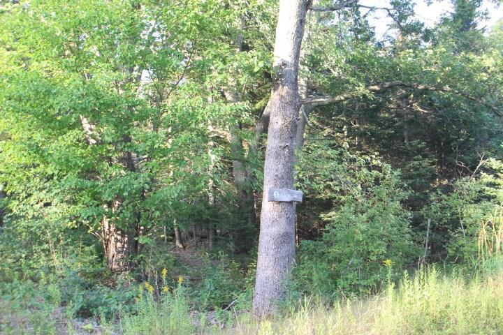 03 Old Woods Road Tenants Harbor, ME 04860 - Photo 5 of 8 Photo