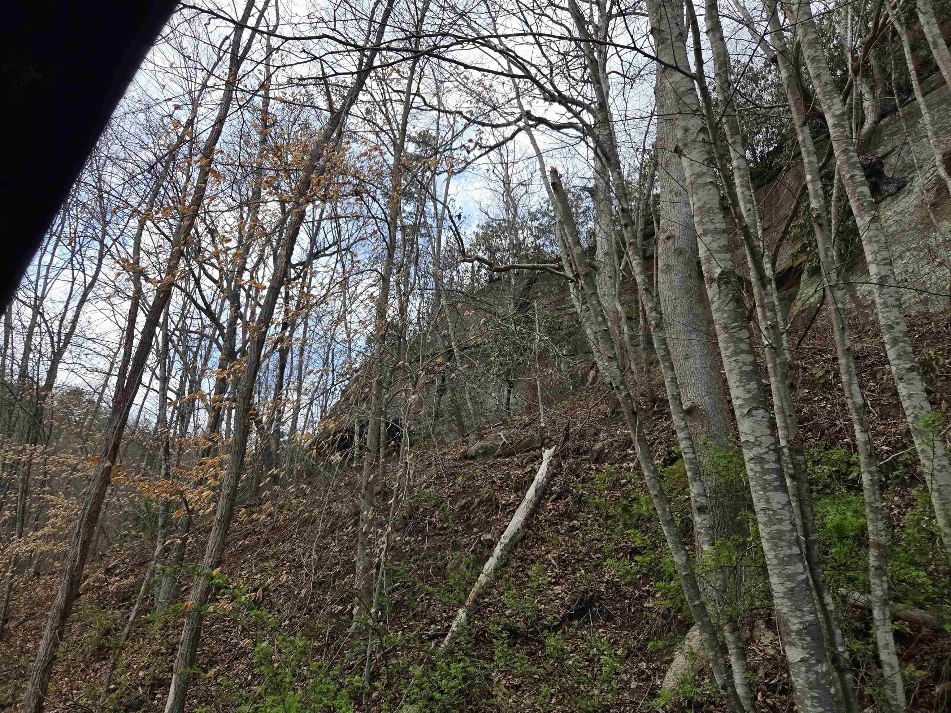 Kiser Fork Road Olive Hill, KY 41164 - Photo 17 of 46 Gallery Image 17