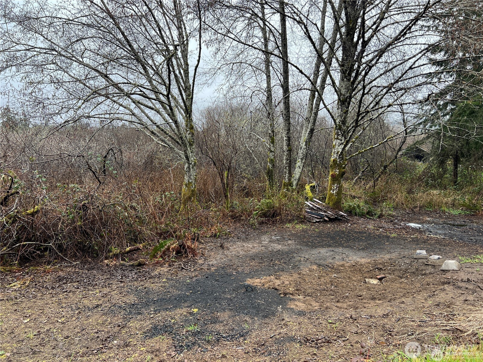 X Willapa Road Raymond, WA 98577 - Photo 5 of 8