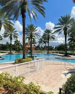 a view of lake with palm trees