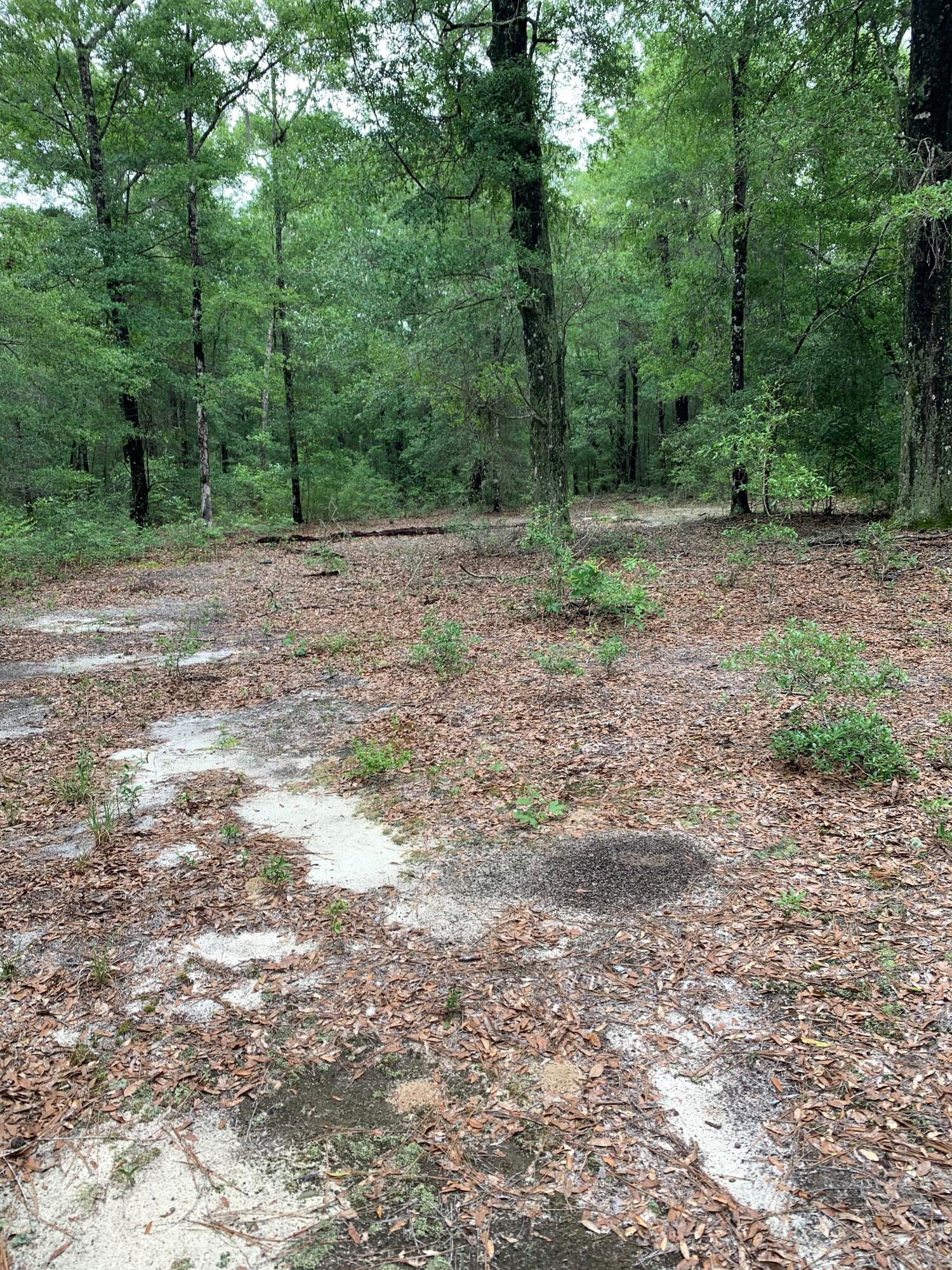 2795 Meredith Road Ponce de Leon, FL 32455 - Photo 2 of 3 lilreedy