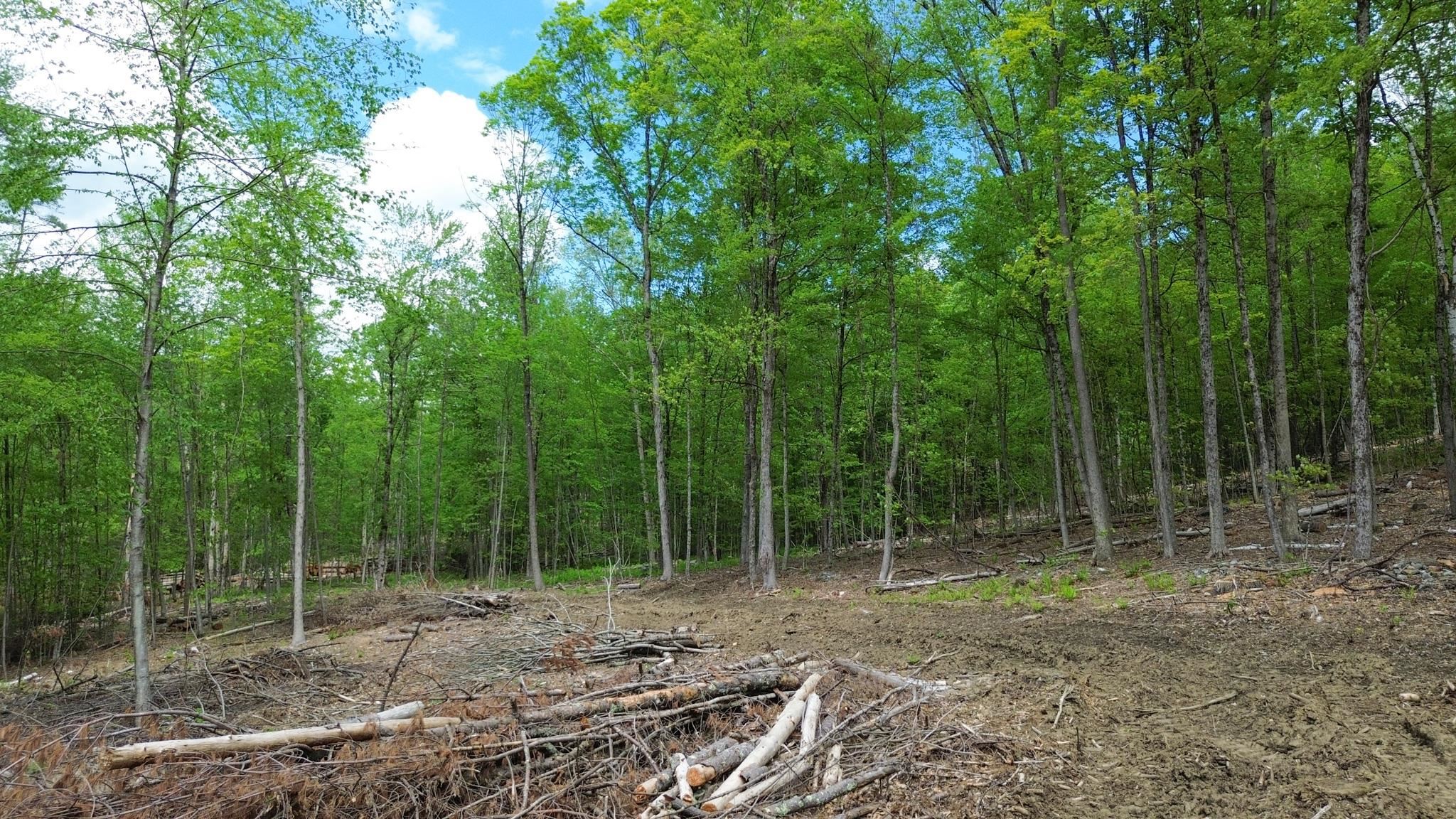 Lot 26-4 Plain Road Hinsdale, NH 03451 - Photo 2 of 28