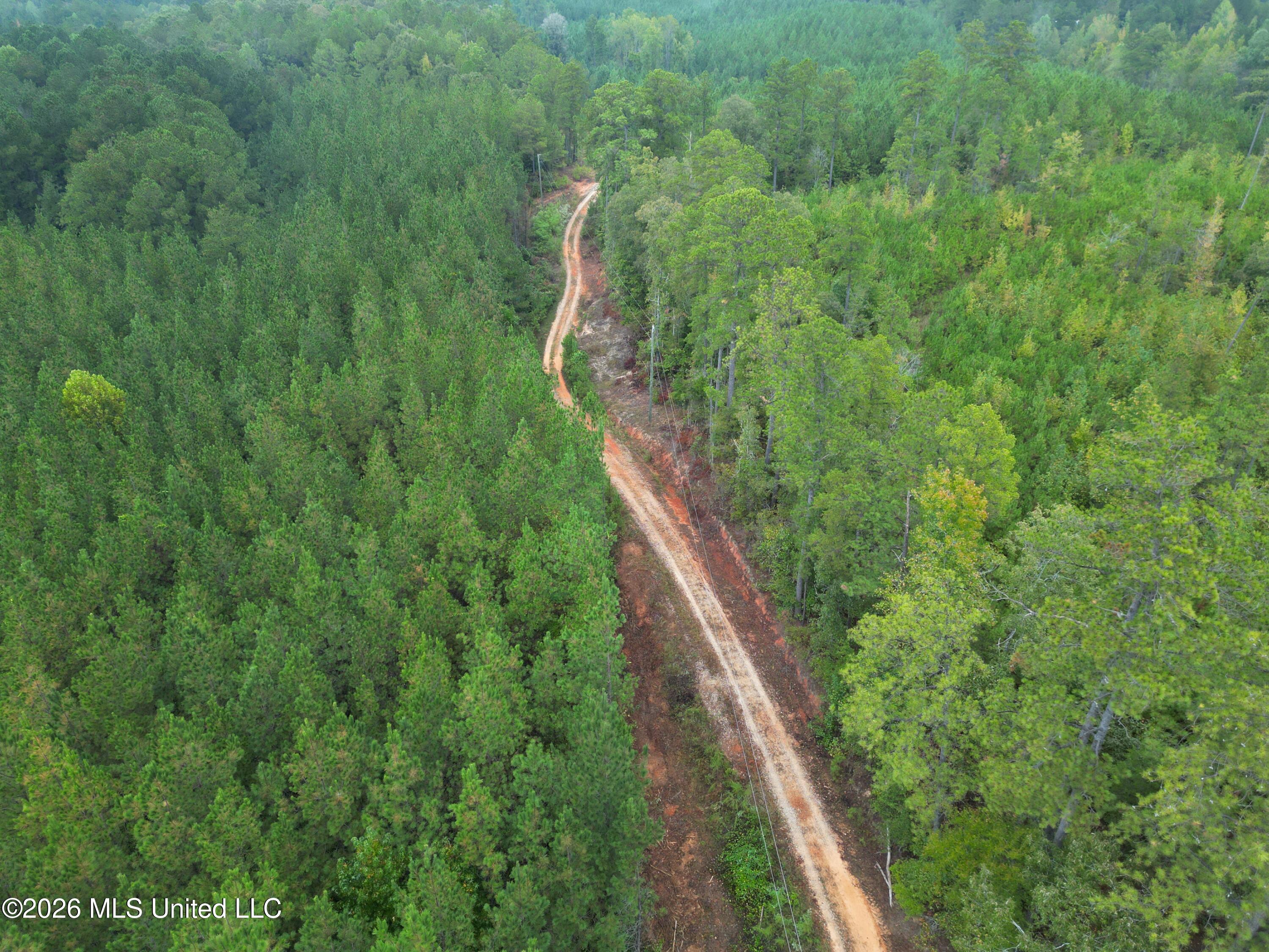 1015 St Anne Road Carthage, MS 39051 - Photo 18 of 45 DJI_0295