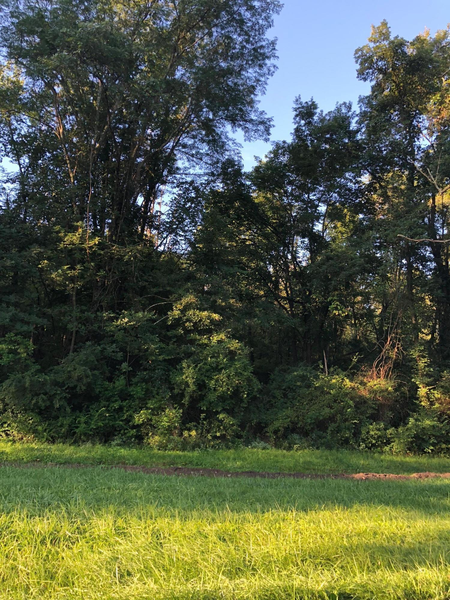 Lot 1 Trenton Road Galena, OH 43021 - Photo 7 of 8 Gallery Image 7