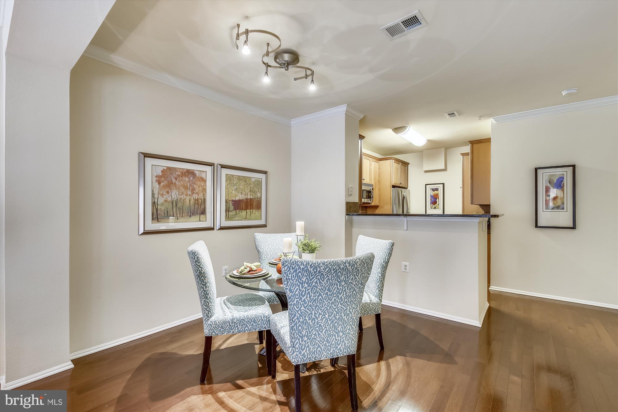 11800 Old Georgetown Road, Unit 1225 North Bethesda, MD 20852 - Photo 12 of 68 CONTEMPORARY TRACK LIGHTING