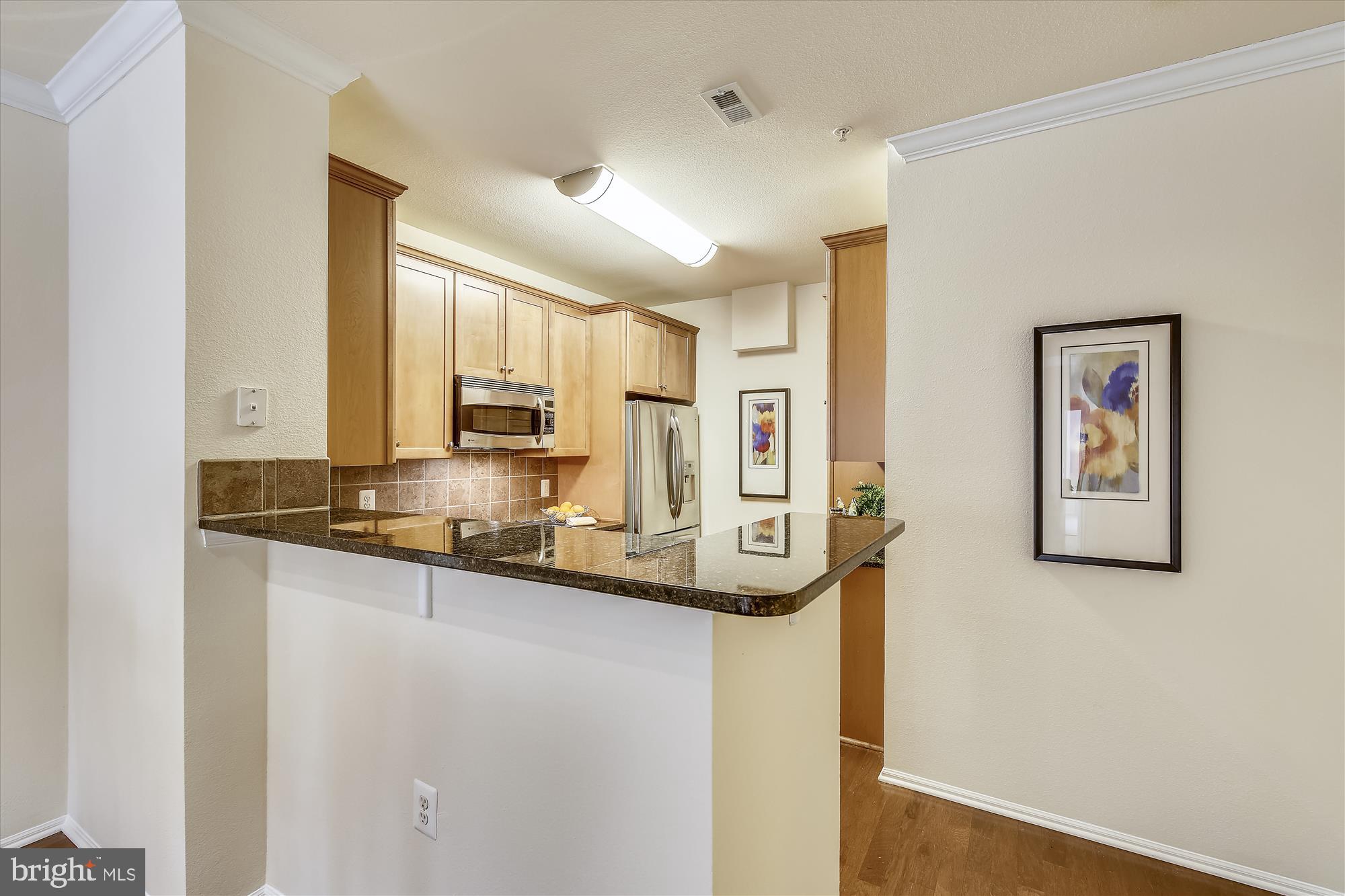 11800 Old Georgetown Road, Unit 1225 North Bethesda, MD 20852 - Photo 13 of 68 GRANITE BREAKFAST BAR