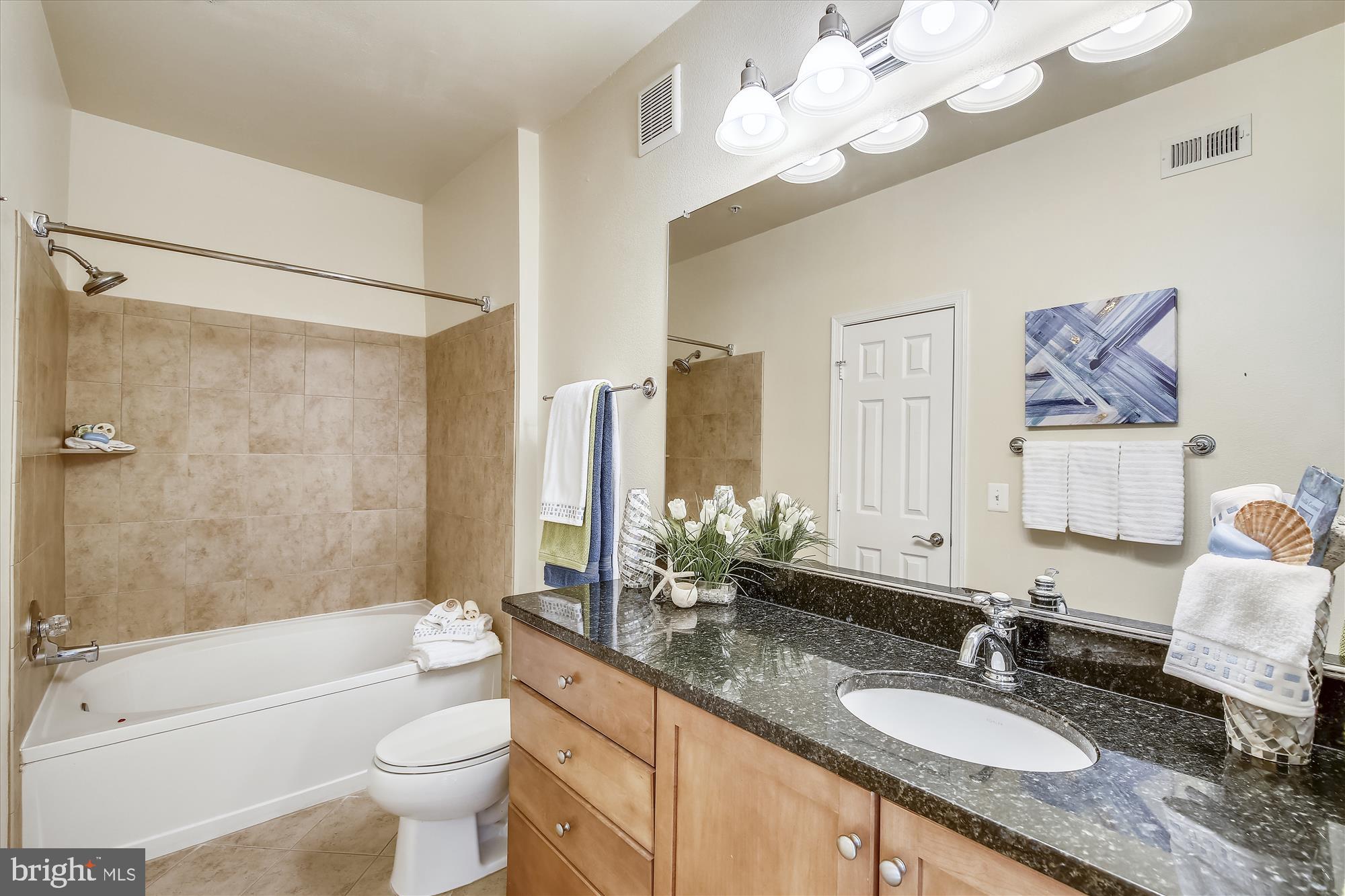 11800 Old Georgetown Road, Unit 1225 North Bethesda, MD 20852 - Photo 17 of 68 SOAKING TUB WITH COUNTER HEIGHT VANITY