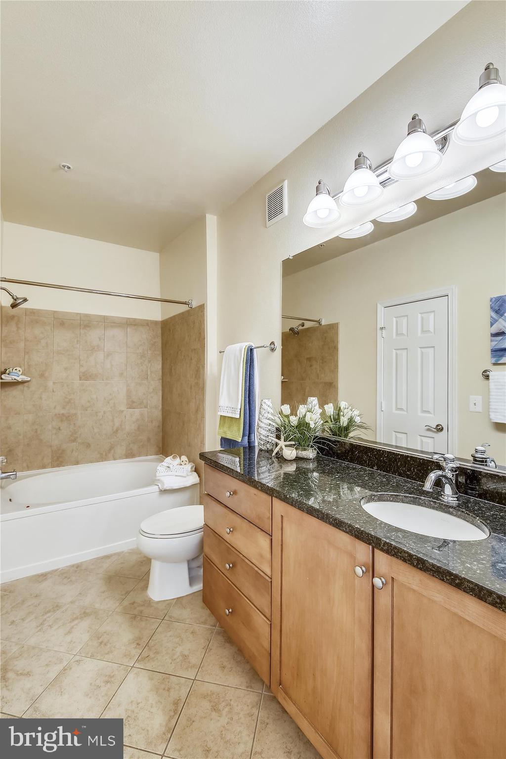 11800 Old Georgetown Road, Unit 1225 North Bethesda, MD 20852 - Photo 18 of 68 LUXURY MASTER BATH