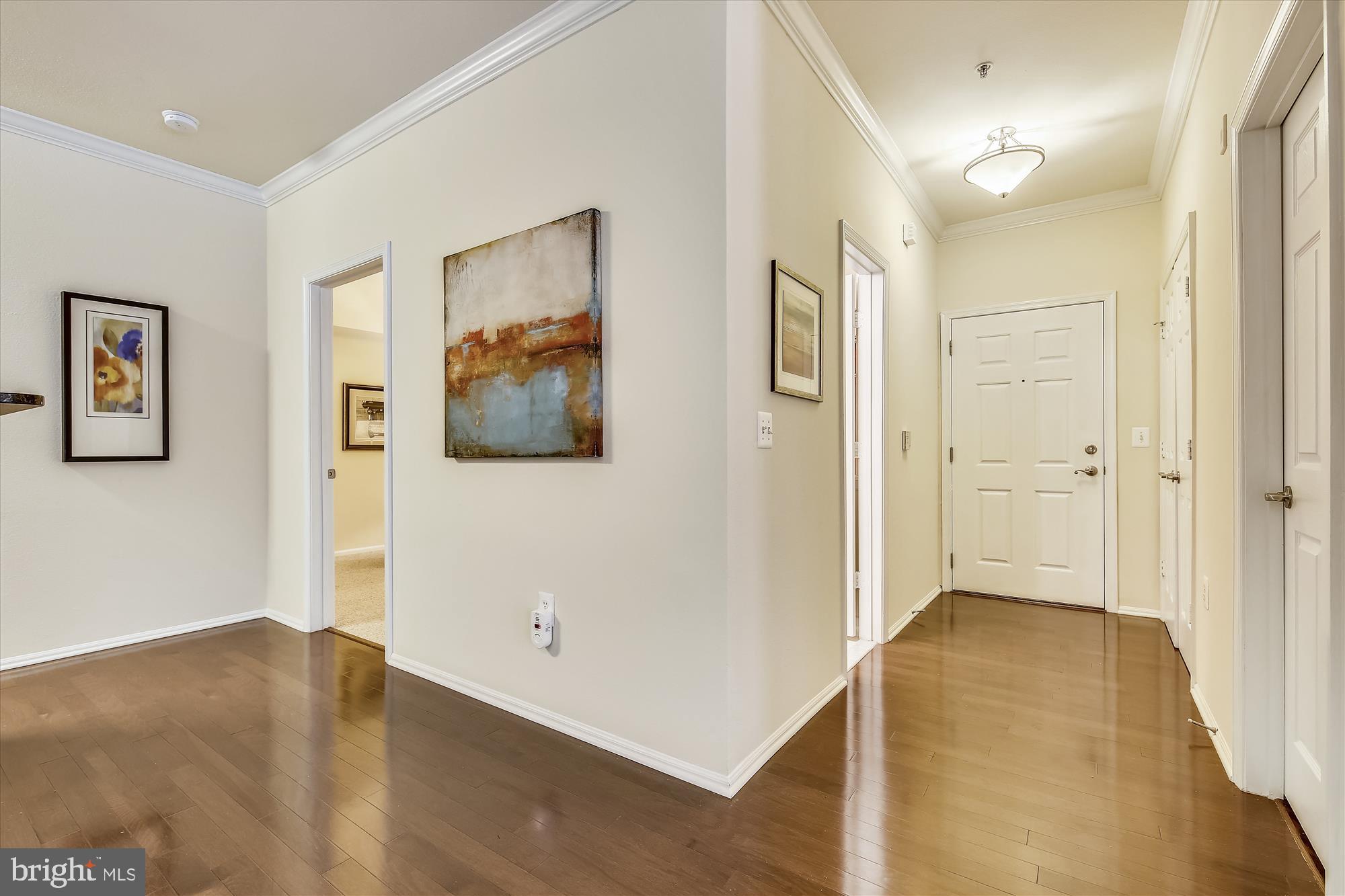 11800 Old Georgetown Road, Unit 1225 North Bethesda, MD 20852 - Photo 29 of 68 RARE ENTRY FOYER