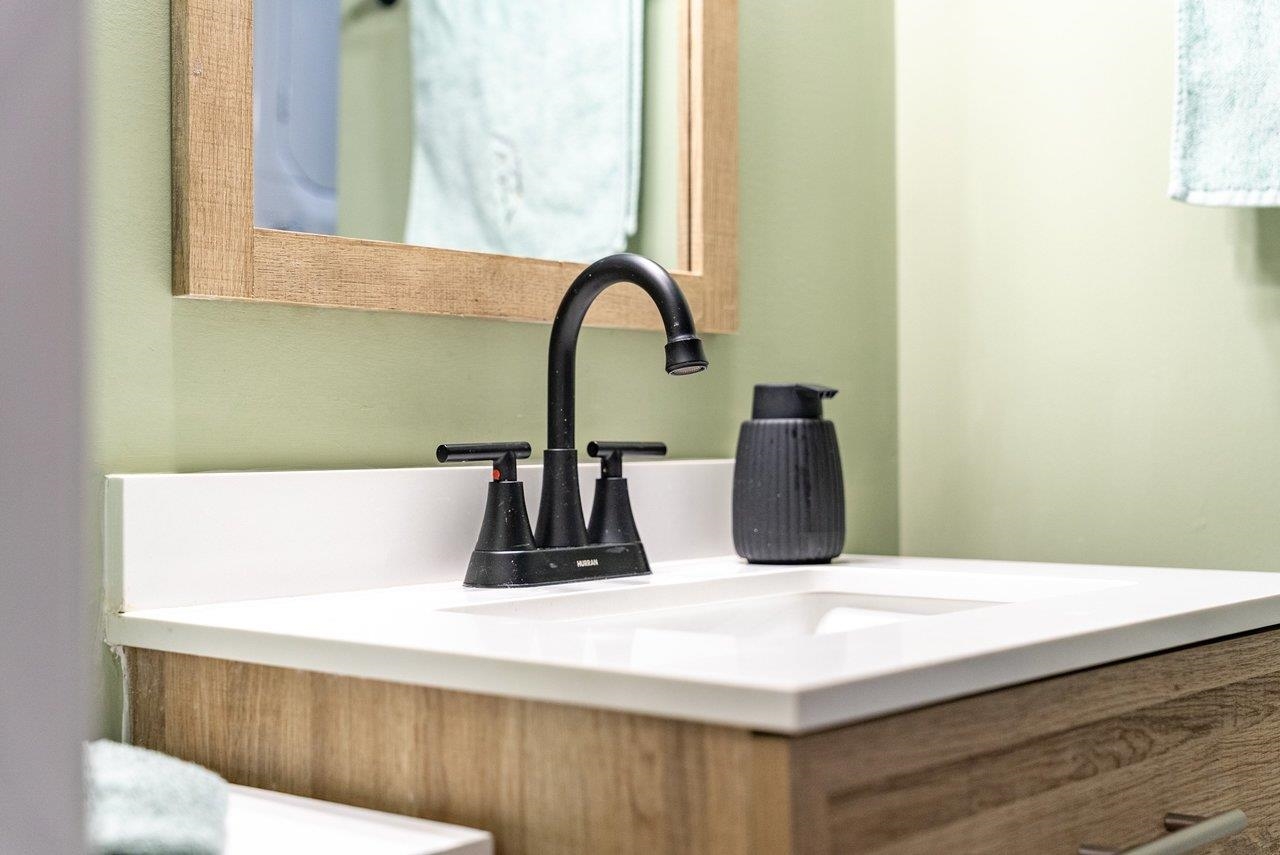 29 Shenandoah Mountain Road Sugar Grove, WV 26815 - Photo 32 of 52 a close view of sink