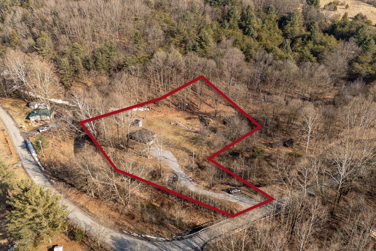 29 Shenandoah Mountain Road Sugar Grove, WV 26815 - Photo 39 of 52 a view of a backyard with a tree