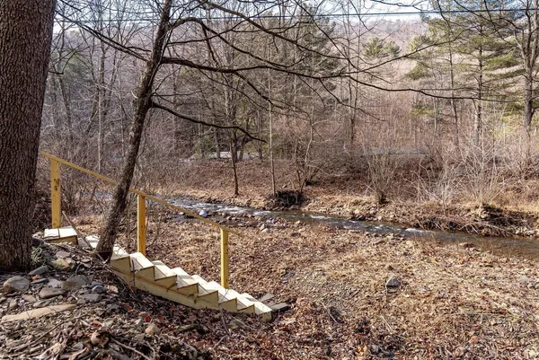 $173,000 | 29 Shenandoah Mountain Road, Sugar Grove, WV 26815