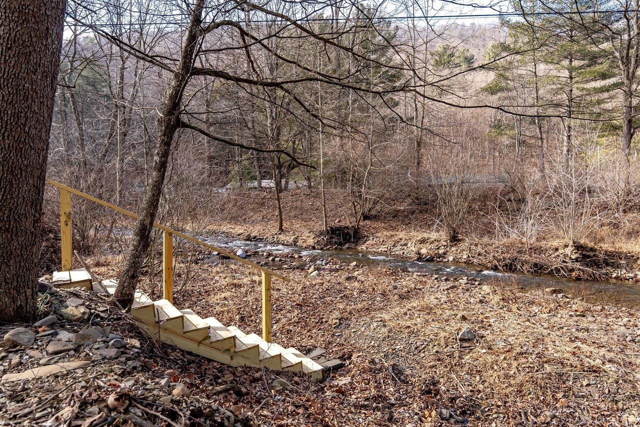 29 Shenandoah Mountain Road Sugar Grove, WV 26815 - Photo 49 of 52 a backyard of a house with lots of green space