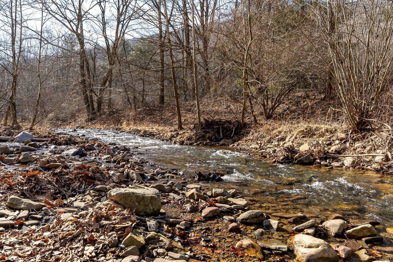29 Shenandoah Mountain Road Sugar Grove, WV 26815 - Photo 50 of 52 a view of a forest with trees