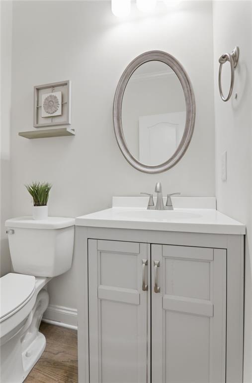 67 Pointer Lane Braselton, GA 30517 - Photo 50 of 74 a bathroom with a toilet a sink and a mirror