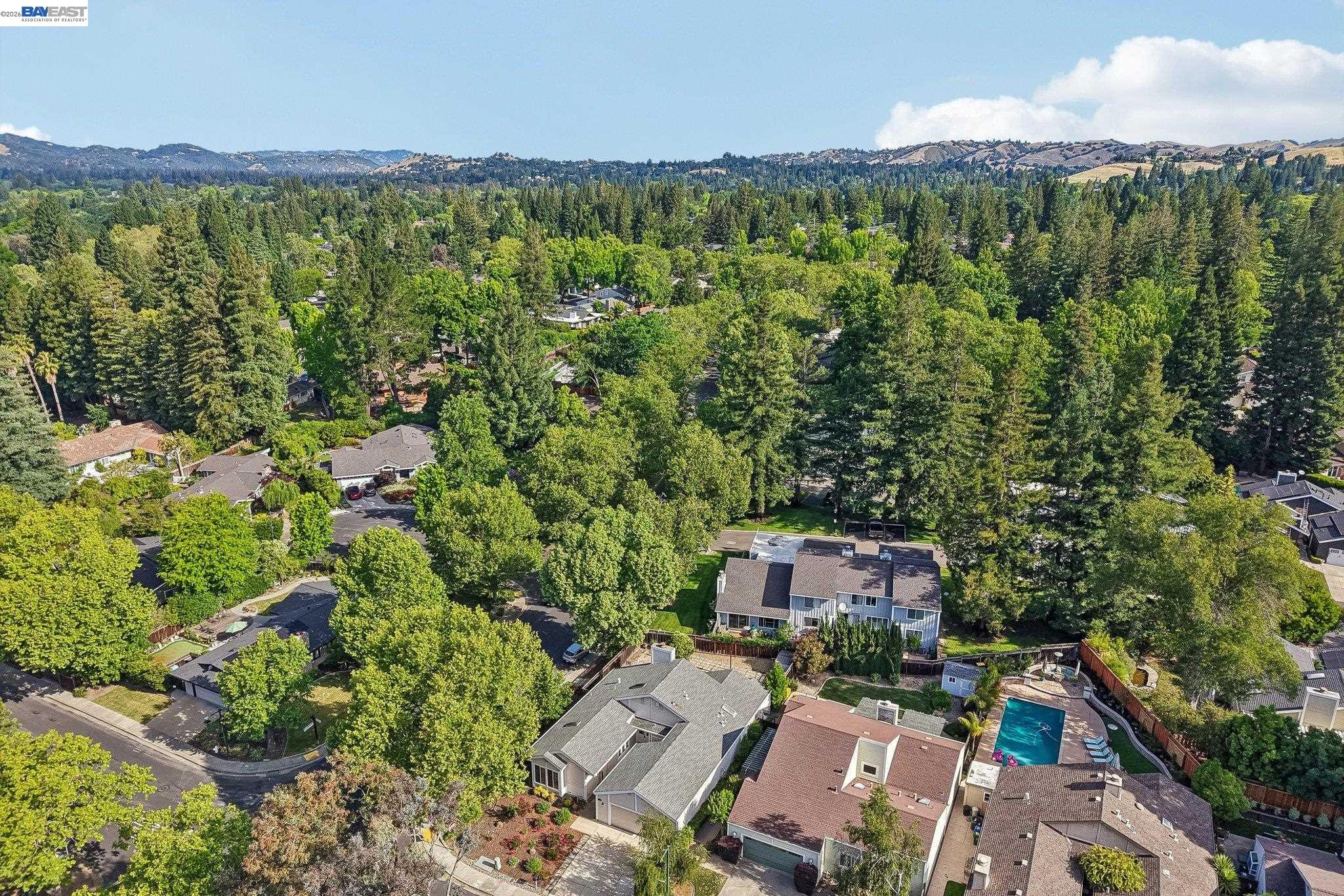 498 Freitas Road Danville, CA 94526 - Photo 45 of 55