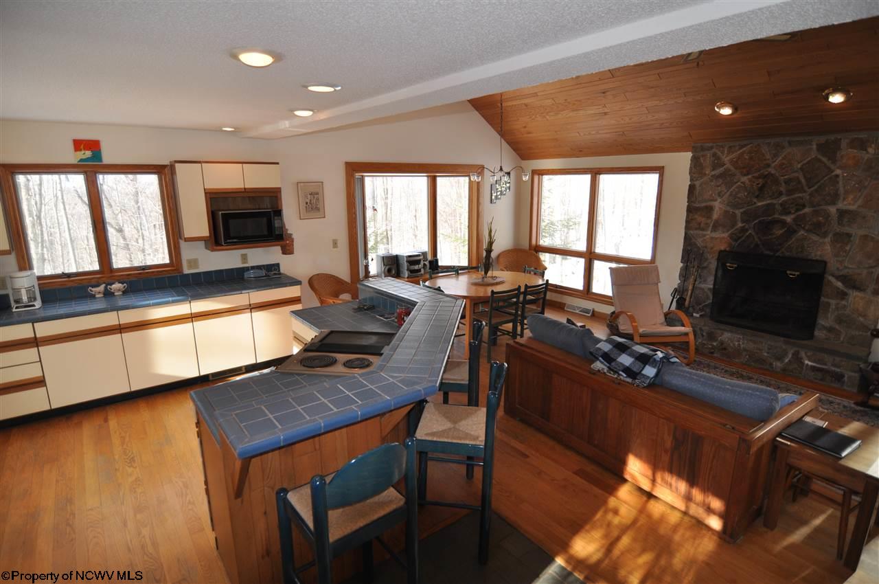 1148 Cabin Mountain Road Davis, WV 26260 - Photo 12 of 18 Gallery Image 12