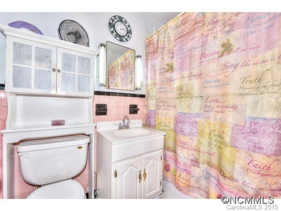 4363 Pigeon Road Waynesville, NC 28786 - Photo 11 of 23 Gallery Image 11