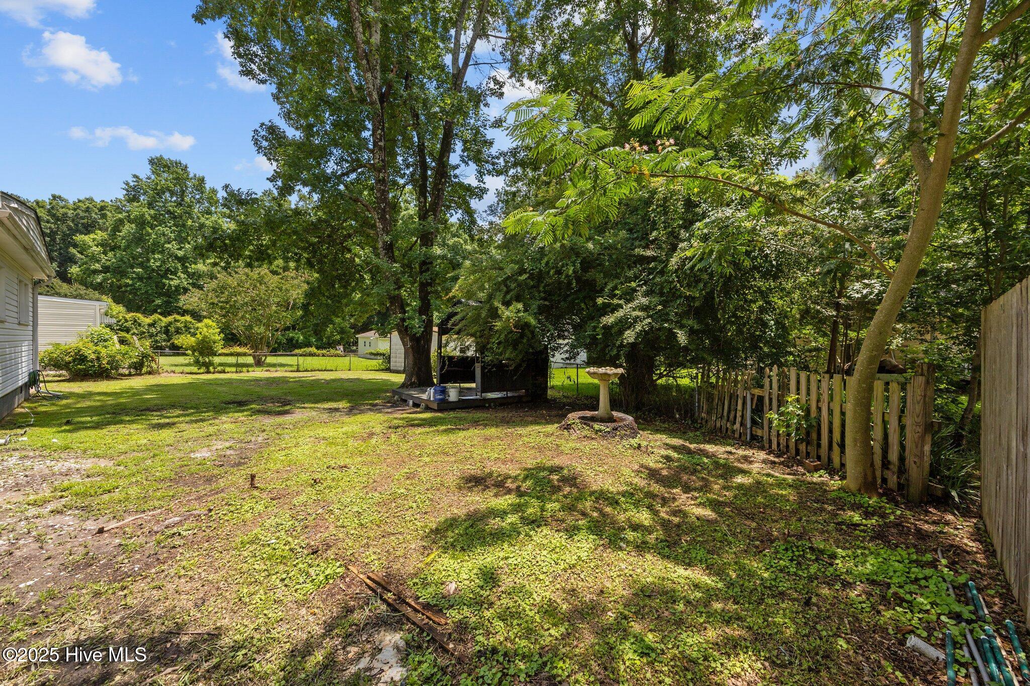 613 Maple Street Jacksonville, NC 28540 - Photo 43 of 52 17-web-or-mls-IMG_3200