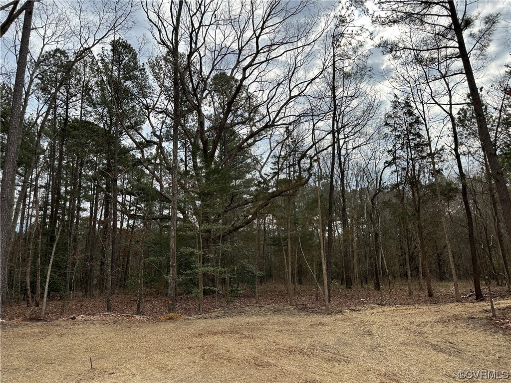 19311 River Road Chesterfield, VA 23838 - Photo 45 of 50 Gallery Image 45