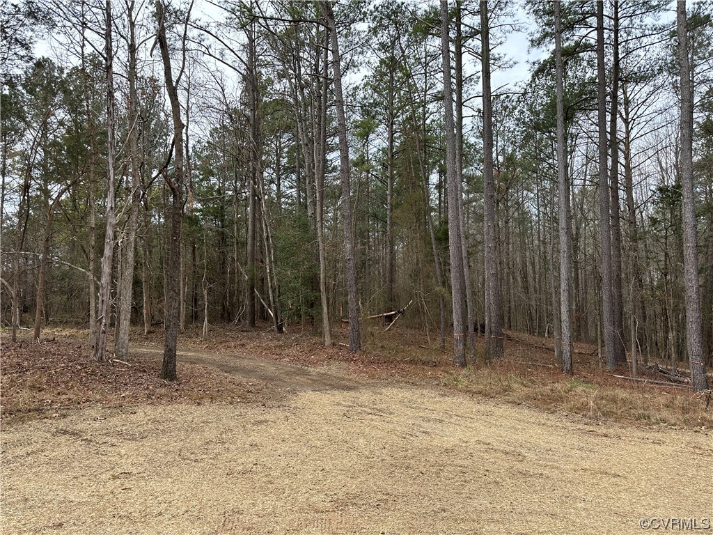 19311 River Road Chesterfield, VA 23838 - Photo 47 of 50 Gallery Image 47