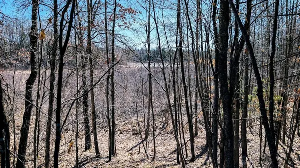 $403,000 | 17341 Co Hwy M, New Auburn, WI 54757