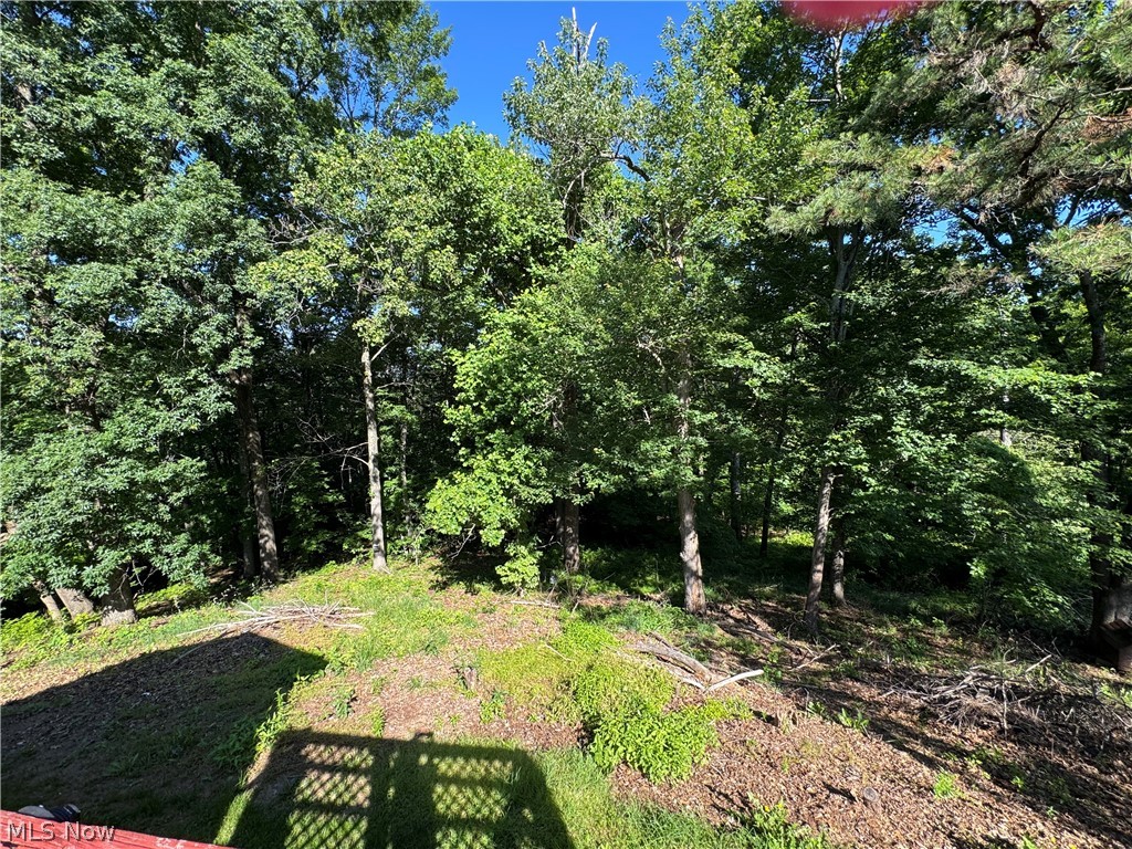 34731 Krieg Ridge Sardis, OH 43946 - Photo 15 of 34