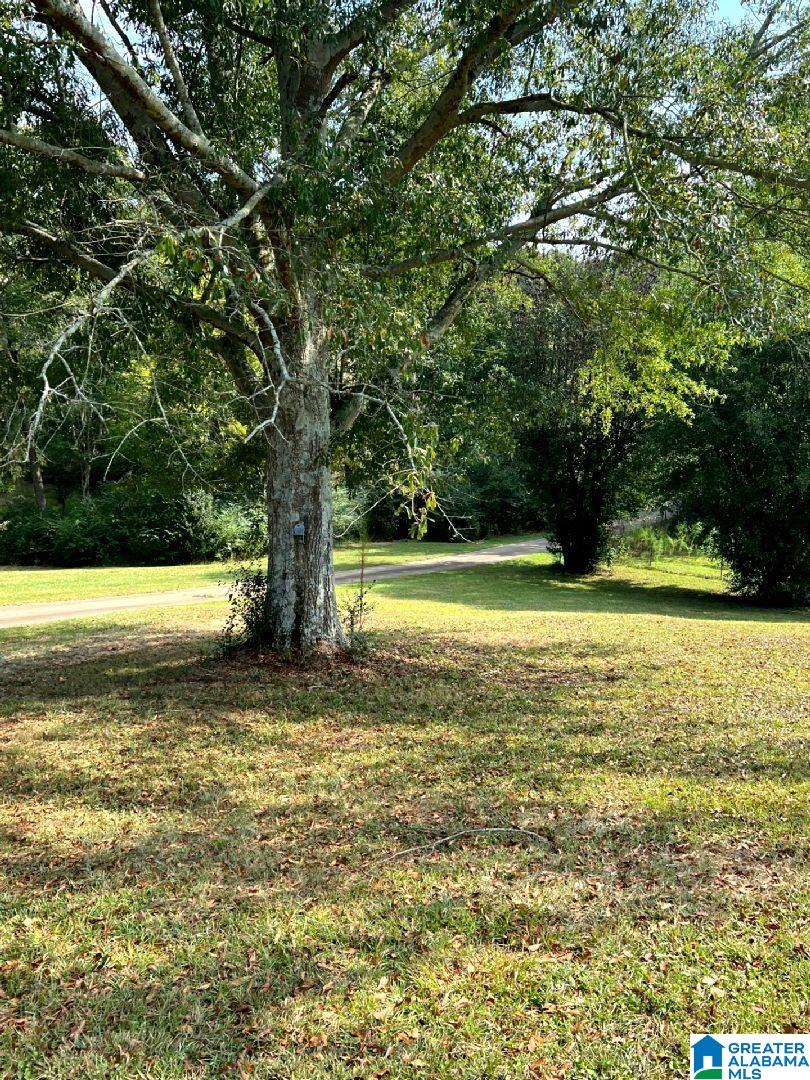 254 Summerlin Circle Delta, AL 36258 - Photo 41 of 55