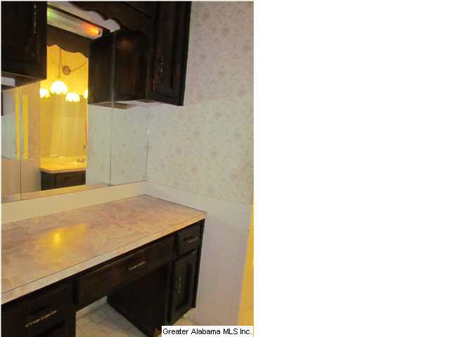 307 Kiowa Road Remlap, AL 35133 - Photo 15 of 20
