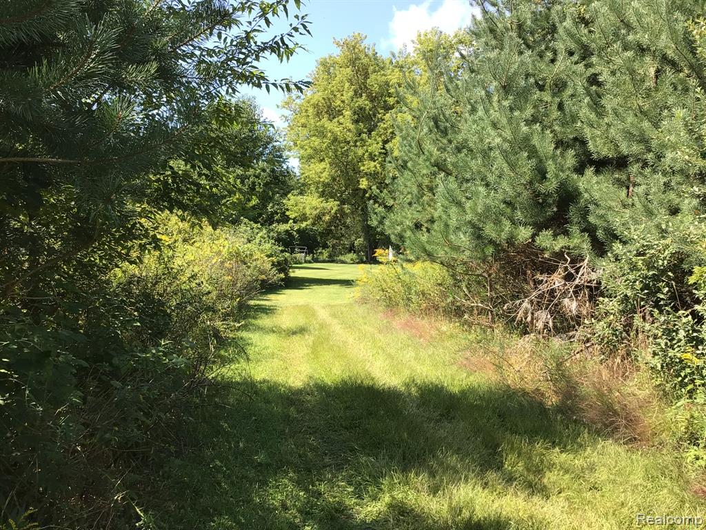 1581 South Force Road Attica, MI 48412 - Photo 84 of 93 Gallery Image 84