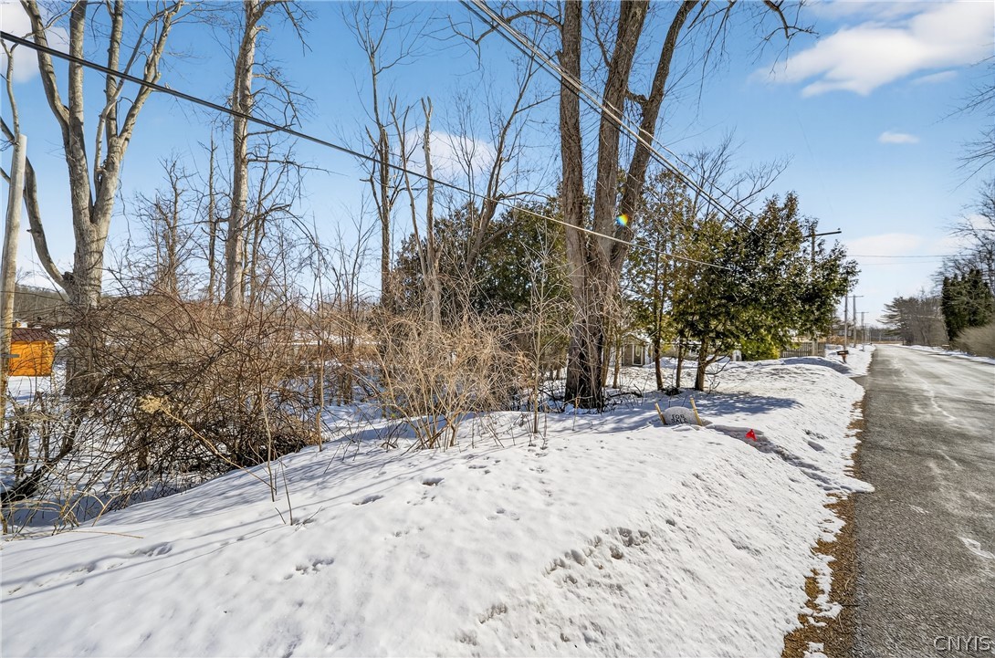 0 Horseshoe Island Road Clay, NY 13041 - Photo 11 of 11