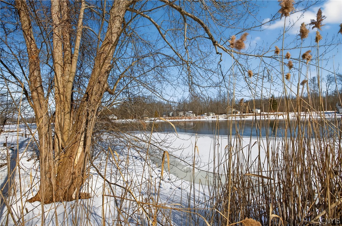 0 Horseshoe Island Road Clay, NY 13041 - Photo 6 of 11
