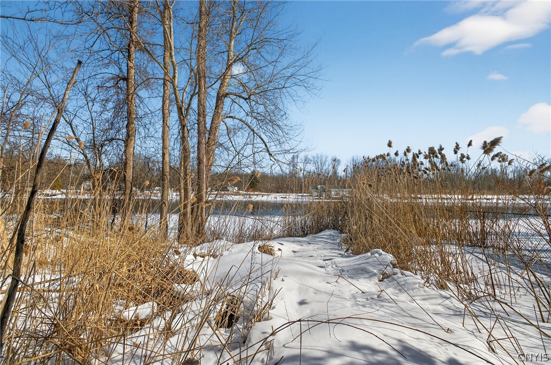 0 Horseshoe Island Road Clay, NY 13041 - Photo 7 of 11