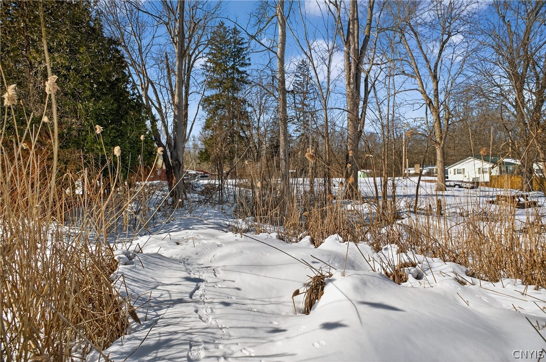 0 Horseshoe Island Road Clay, NY 13041 - Photo 8 of 11
