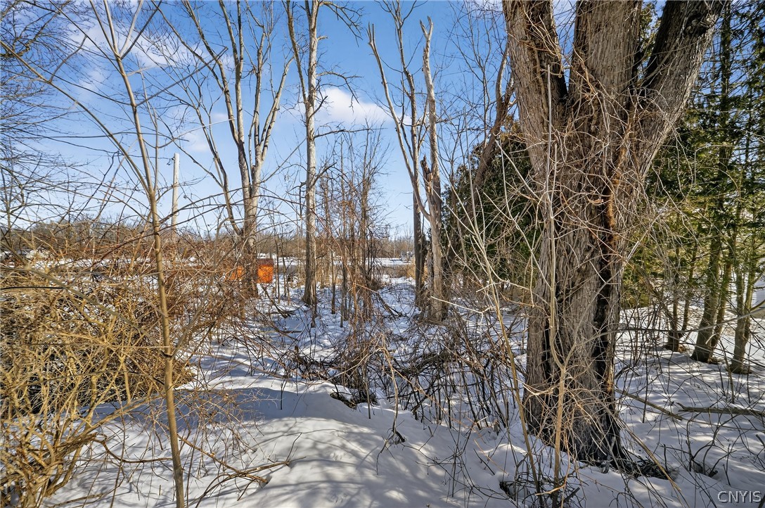 0 Horseshoe Island Road Clay, NY 13041 - Photo 9 of 11