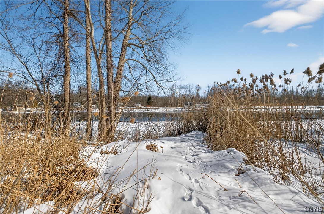 0 Horseshoe Island Road Clay, NY 13041 - Photo 10 of 11