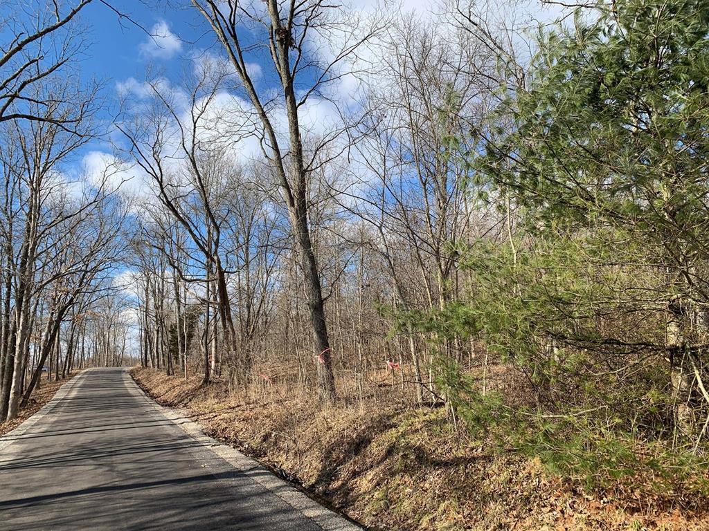0 Pennington Road Waverly, OH 45690 - Photo 2 of 10 pennington