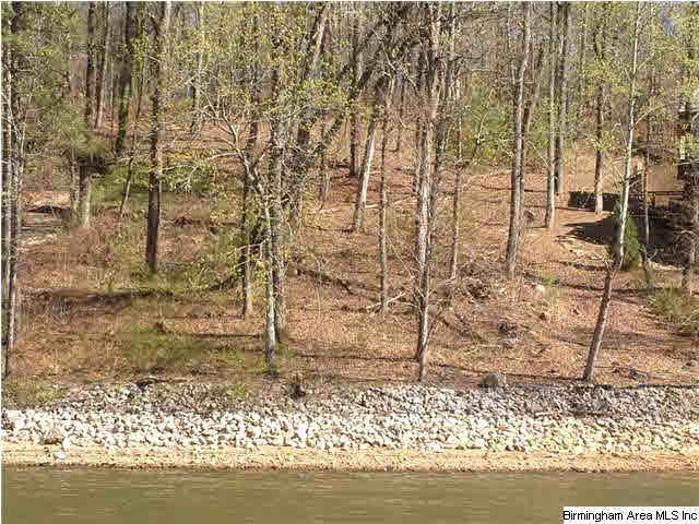 26 Waters Edge Cove, Unit 13 Alpine, AL 35014 - Photo 1 of 4 Gallery Image 1