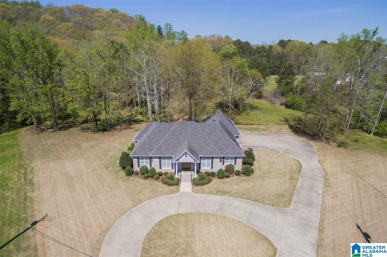 101 Deer Trace Road Oneonta, AL 35121 - Photo 2 of 50