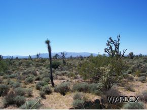 17 Gunsmoke Road Yucca, AZ 86438 - Photo 2 of 4 Additional Photo